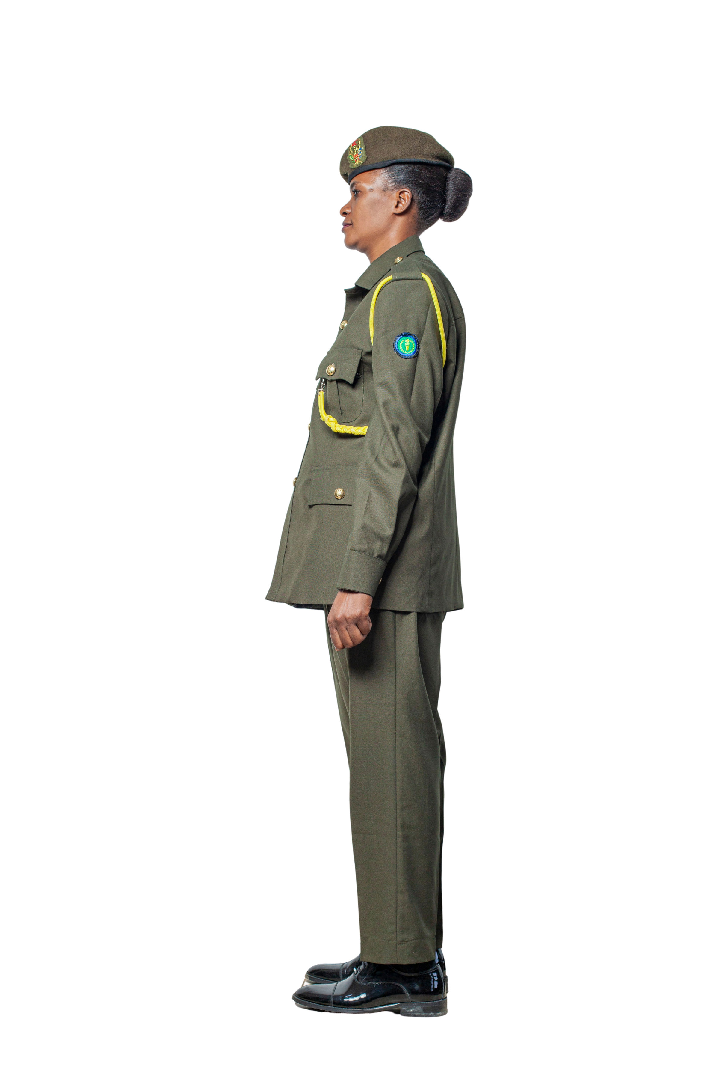 Land Force Number III